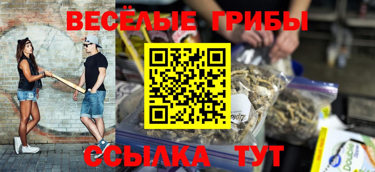 Камень-на-Оби  Галлюциногенные грибы ЛСД  Вход с VPN 